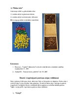 Konspekts 'Vingrinājumi pareizas stājas veidošanai, plakanās pēdas profilaksei', 5.