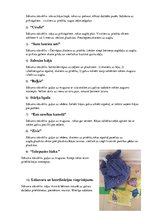 Konspekts 'Vingrinājumi pareizas stājas veidošanai, plakanās pēdas profilaksei', 6.