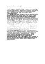 Eseja 'Īpašuma attiecības un motivācija', 1.