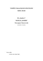 Prakses atskaite 'Kvalifikācijas prakses atskaite', 2.