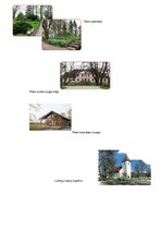 Prakses atskaite 'Kvalifikācijas prakses atskaite', 21.