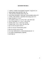 Referāts 'Naftas izraisītās problēmas', 10.