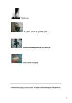 Referāts 'Naftas izraisītās problēmas', 13.