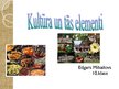 Prezentācija 'Kultūra un tās elementi', 1.