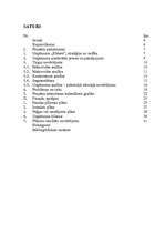 Biznesa plāns 'Biznesa plāns uzņēmuma finanšu līdzekļu plānošanai', 3.