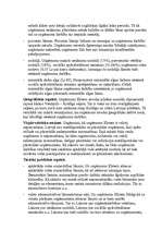 Biznesa plāns 'Biznesa plāns uzņēmuma finanšu līdzekļu plānošanai', 12.