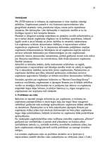 Biznesa plāns 'Biznesa plāns uzņēmuma finanšu līdzekļu plānošanai', 19.