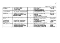 Biznesa plāns 'Biznesa plāns uzņēmuma finanšu līdzekļu plānošanai', 21.