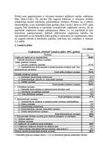 Biznesa plāns 'Biznesa plāns uzņēmuma finanšu līdzekļu plānošanai', 27.