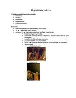 Konspekts '19.gadsimta māksla', 1.