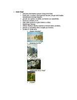 Konspekts '19.gadsimta māksla', 9.