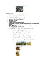 Konspekts '19.gadsimta māksla', 14.