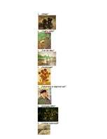 Konspekts '19.gadsimta māksla', 16.