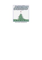 Konspekts 'Elektriskais lauks', 3.