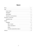 Referāts 'Aleksandrs Grīns', 2.