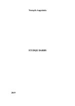 Referāts 'Hokeja terminoloģijas polisēmijas atšķirības angļu un latviešu valodā', 1.