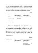 Referāts 'Hokeja terminoloģijas polisēmijas atšķirības angļu un latviešu valodā', 15.