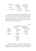 Referāts 'Hokeja terminoloģijas polisēmijas atšķirības angļu un latviešu valodā', 17.