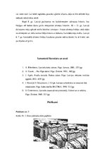 Referāts 'Senvēstures un agro viduslaiku perioda koka arhitektūras būvkonstrukciju tipoloģ', 11.