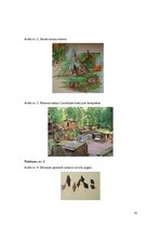 Referāts 'Senvēstures un agro viduslaiku perioda koka arhitektūras būvkonstrukciju tipoloģ', 12.