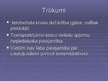 Prezentācija 'Cauruļvadu transporta ietekme uz vidi', 3.