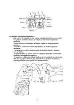 Referāts 'Izgulējumi un kā ar tiem cīnīties', 3.
