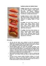 Referāts 'Izgulējumi un kā ar tiem cīnīties', 4.