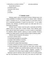 Referāts 'Sabiedrības ar ierobežotu atbildību', 12.