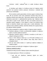 Referāts 'Sabiedrības ar ierobežotu atbildību', 19.