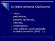 Prezentācija 'Juridiskās personas nosaukums. Juridisko personu nodibināšana. Firma', 6.