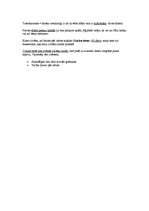 Konspekts 'Ēģiptes tiesības', 2.