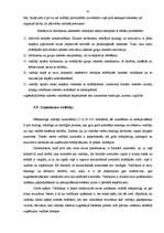 Referāts 'Uzņēmuma konkurētspējas izvērtēšana', 42.