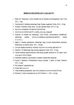 Referāts 'Mārketinga vide un attīstības iespējas vides reklāmas uzņēmumā', 24.