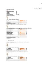 Referāts 'Mārketinga vide un attīstības iespējas vides reklāmas uzņēmumā', 32.
