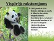 Prezentācija 'Lielā panda', 4.