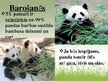 Prezentācija 'Lielā panda', 5.