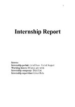 Prakses atskaite 'Internship Report', 1.
