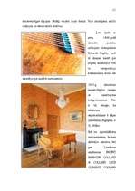 Referāts 'Seno taustiņinstrumentu dekoratīvā apdare', 11.