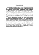 Referāts 'Valodas un runas kultūra', 7.