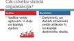 Prezentācija 'Apmierinātības ar darbu nozīme organizācijas attīstībā', 5.