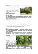 Paraugs 'Tūrisma maršruts pa Latviju', 5.