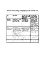 Referāts 'Tauki', 15.