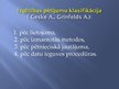Prezentācija 'Pētējumu klasifikācija', 7.