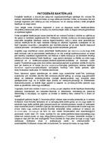 Referāts 'Baktērijas', 9.