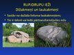 Prezentācija 'Izplatītāko nogulumiežu raksturojums', 3.