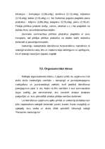 Biznesa plāns 'Ēdināšanas uzņēmuma izveides projekts kempingam Kuldīgā', 16.