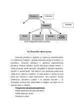 Biznesa plāns 'Ēdināšanas uzņēmuma izveides projekts kempingam Kuldīgā', 17.