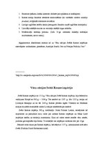 Referāts 'Vācu nācijas Svētā Romas impērija', 3.