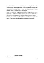 Referāts 'Pašvaldību autonomās funkcijas', 10.