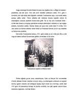 Referāts 'Tutanhamona kapenes', 3.